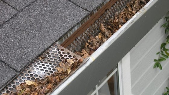 Gutter with leaves